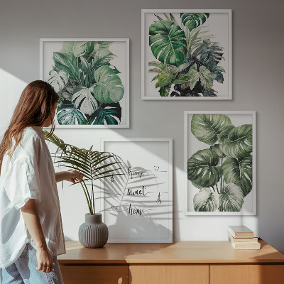 Composizione di 4 quadri Foglie di Monstera ad acquerello
