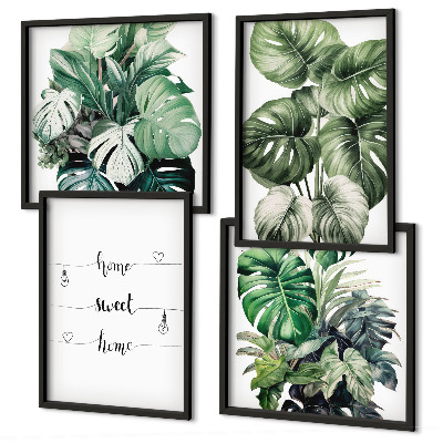 Composizione di 4 quadri Foglie di Monstera ad acquerello