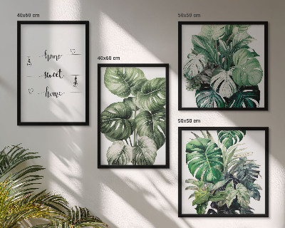 Composizione di 4 quadri Foglie di Monstera ad acquerello