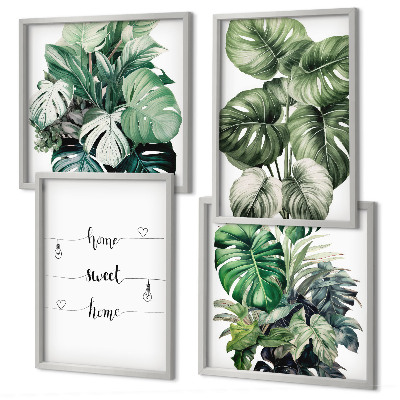 Composizione di 4 quadri Foglie di Monstera ad acquerello