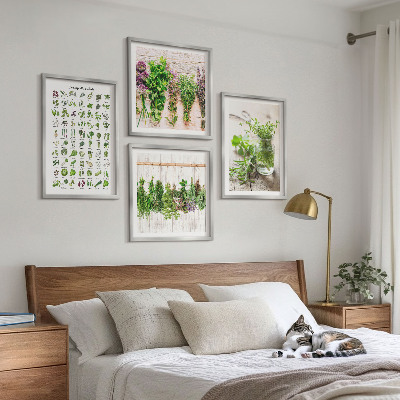 Galleria a parete Erbe aromatiche essiccate per la cucina