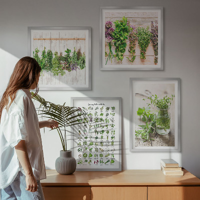 Galleria a parete Erbe aromatiche essiccate per la cucina