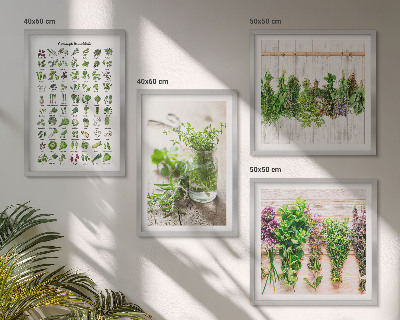 Galleria a parete Erbe aromatiche essiccate per la cucina