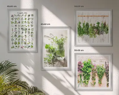 Erbe aromatiche essiccate galleria a parete per la cucina