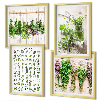 Galleria a parete Erbe aromatiche essiccate per la cucina