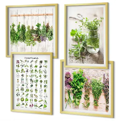 Erbe aromatiche essiccate galleria a parete per la cucina