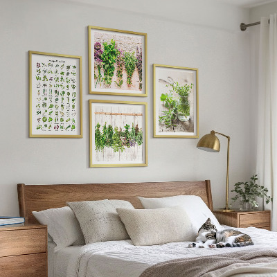 Galleria a parete Erbe aromatiche essiccate per la cucina