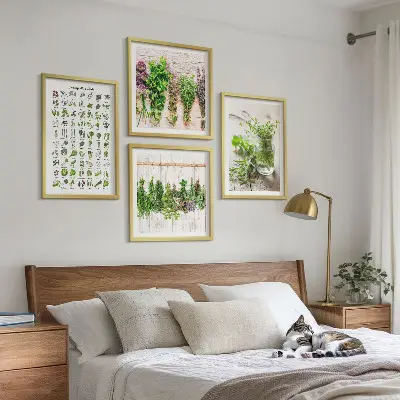 Erbe aromatiche essiccate galleria a parete per la cucina