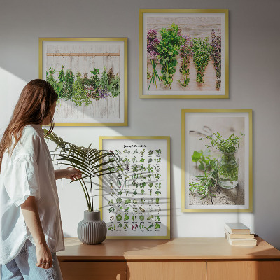 Galleria a parete Erbe aromatiche essiccate per la cucina