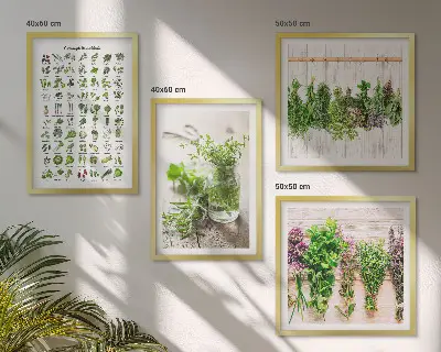 Erbe aromatiche essiccate galleria a parete per la cucina