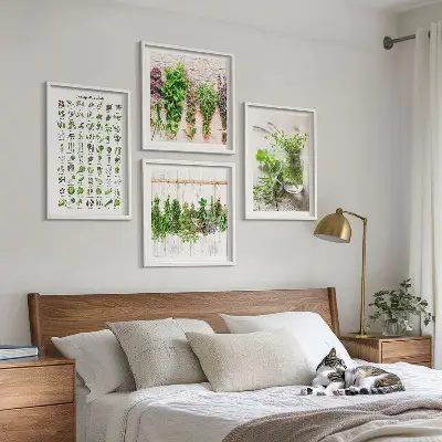 Erbe aromatiche essiccate galleria a parete per la cucina