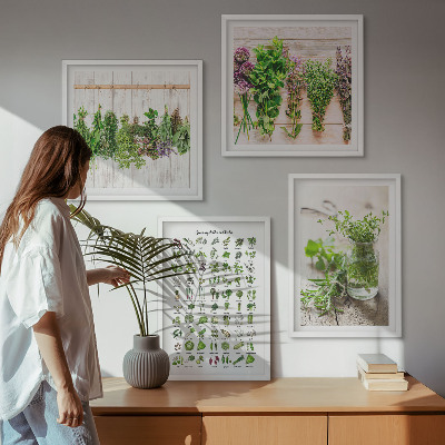 Galleria a parete Erbe aromatiche essiccate per la cucina