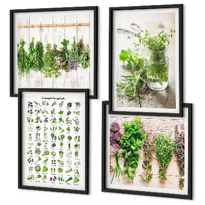 Erbe aromatiche essiccate galleria a parete per la cucina