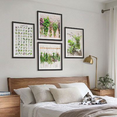 Galleria a parete Erbe aromatiche essiccate per la cucina