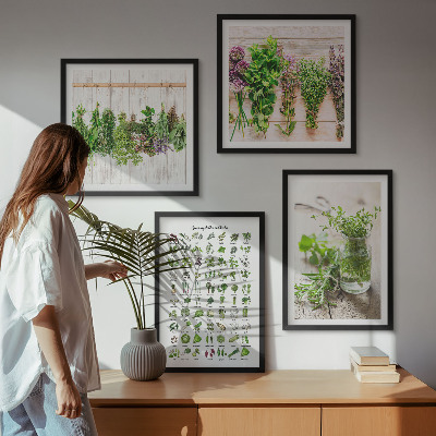 Galleria a parete Erbe aromatiche essiccate per la cucina