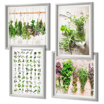 Galleria a parete Erbe aromatiche essiccate per la cucina