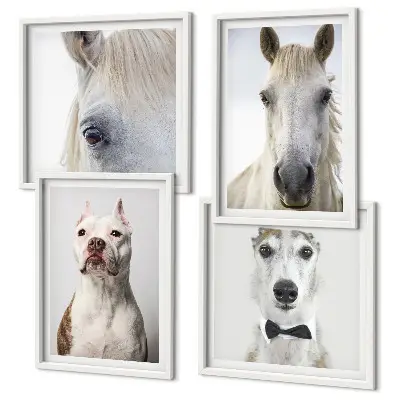 Composizione di 4 quadri ritratti eleganti di cani e cavalli