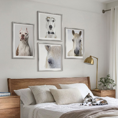 Composizione di 4 quadri Ritratti di cani e cavalli elegantemente