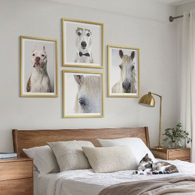 Composizione di 4 quadri Ritratti di cani e cavalli elegantemente