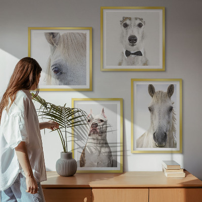 Composizione di 4 quadri Ritratti di cani e cavalli elegantemente