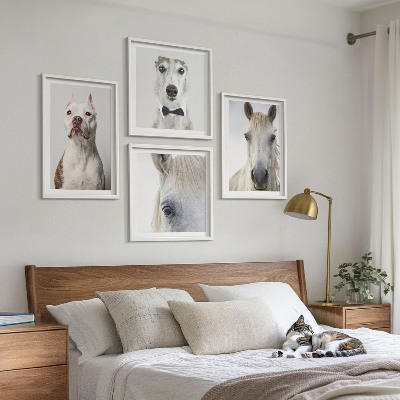 Composizione di 4 quadri Ritratti di cani e cavalli elegantemente