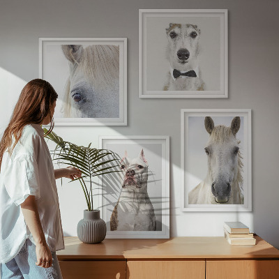 Composizione di 4 quadri Ritratti di cani e cavalli elegantemente