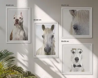 Composizione di 4 quadri ritratti eleganti di cani e cavalli