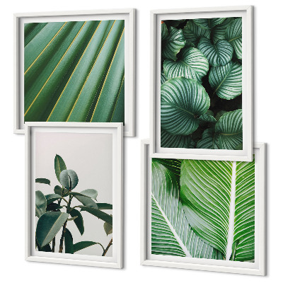Composizione di 4 quadri Foglie tropicali verdi