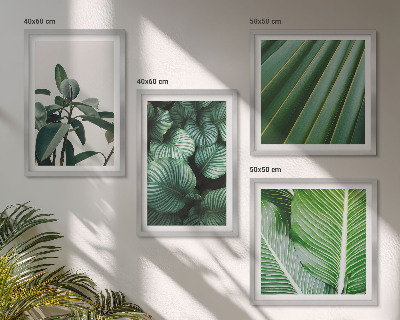 Composizione di 4 quadri Foglie tropicali verdi