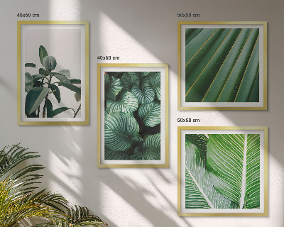 Composizione di 4 quadri Foglie tropicali verdi