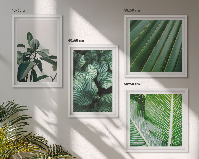 Composizione di 4 quadri Foglie tropicali verdi