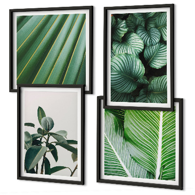 Composizione di 4 quadri Foglie tropicali verdi