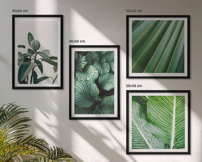 Composizione di 4 quadri Foglie tropicali verdi
