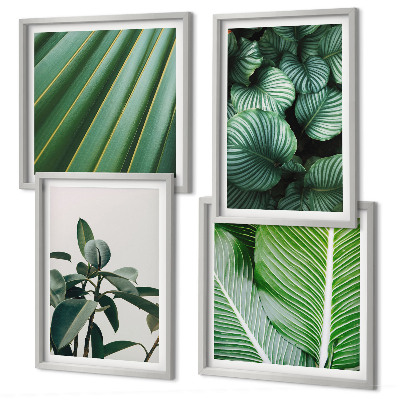 Composizione di 4 quadri Foglie tropicali verdi