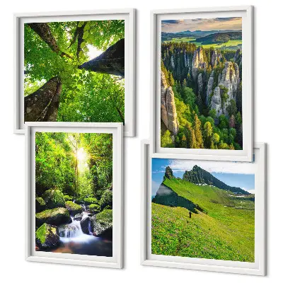 Composizione di 4 quadri con paesaggio di montagne verdi, cascata e foresta
