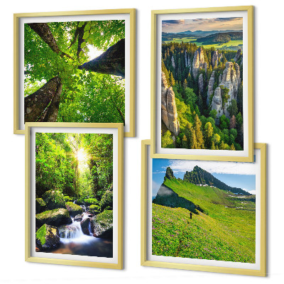 Composizione di 4 quadri Montagne verdi cascata foresta