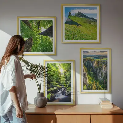 Composizione di 4 quadri con paesaggio di montagne verdi, cascata e foresta