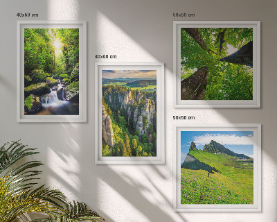Composizione di 4 quadri Montagne verdi cascata foresta