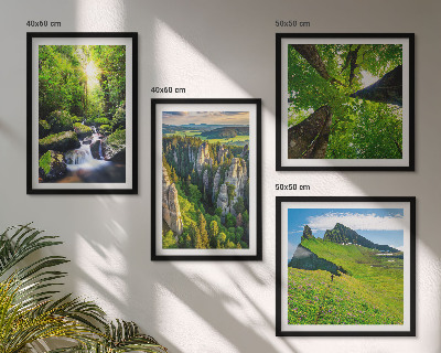 Composizione di 4 quadri Montagne verdi cascata foresta