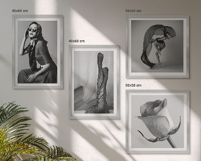 Galleria a parete Ritratti eleganti di donne eleganti