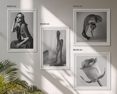 Galleria a parete Ritratti eleganti di donne eleganti