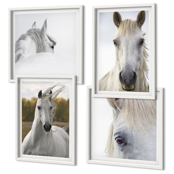 Composizione di 4 quadri cavalli bianchi