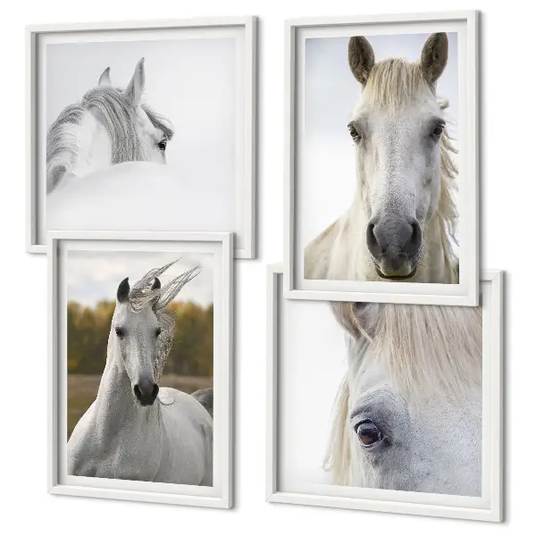Composizione di 4 quadri con cavalli bianchi