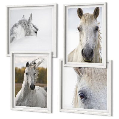Composizione di 4 quadri cavalli bianchi