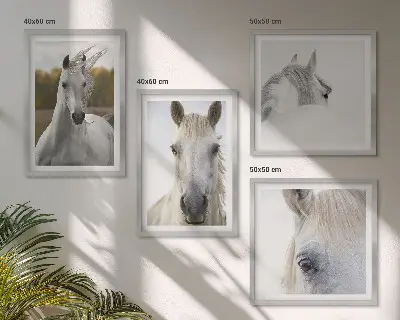 Composizione di 4 quadri con cavalli bianchi