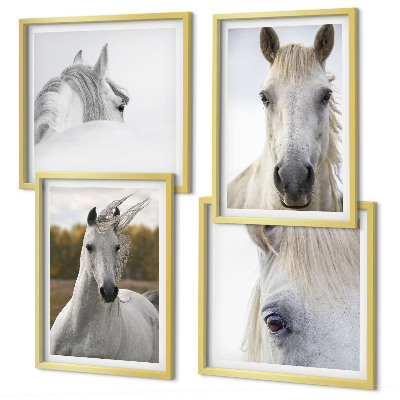 Composizione di 4 quadri cavalli bianchi