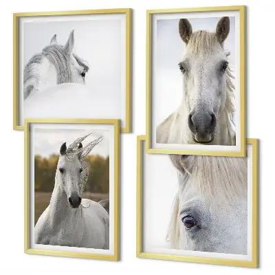 Composizione di 4 quadri con cavalli bianchi