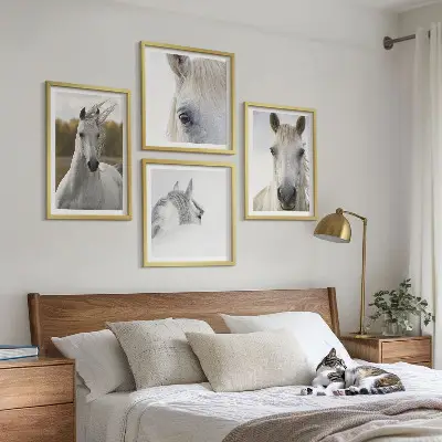 Composizione di 4 quadri con cavalli bianchi