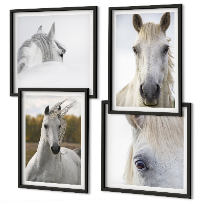 Composizione di 4 quadri cavalli bianchi
