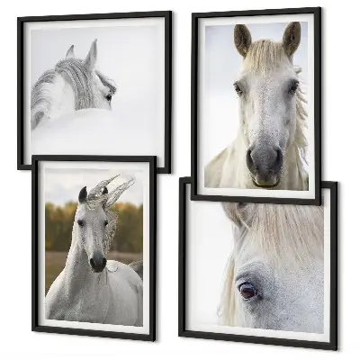 Composizione di 4 quadri con cavalli bianchi